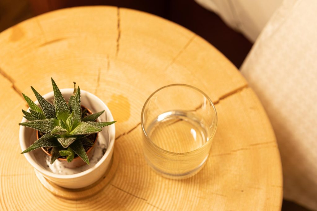 Hotel Petit Tournalin